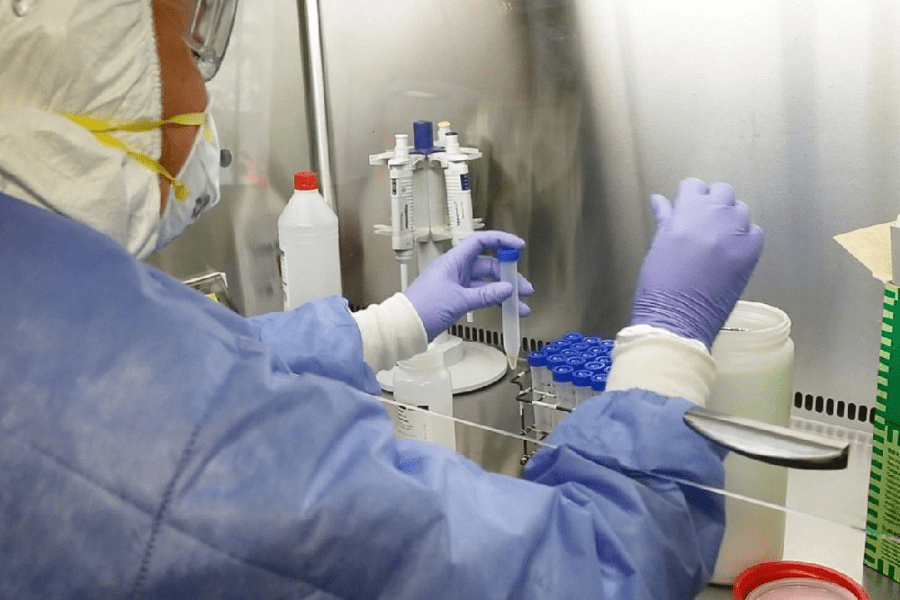 Lee más sobre el artículo Se reportaron 785 casos de coronavirus en la última semana del 2022 en San Luis