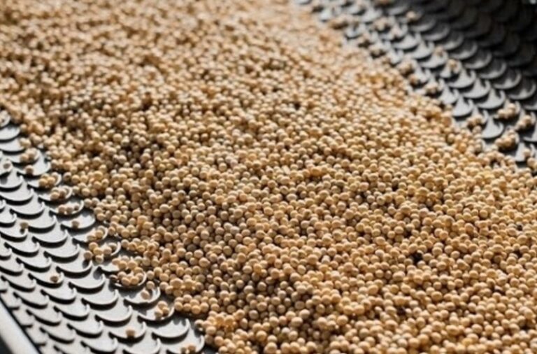 Caída histórica de la soja sacude el mercado global