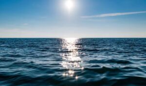 “The Blob”: la ola de calor marina que amenaza el Pacífico