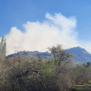 Se incendió la zona de Pie de la Cuesta de San Francisco y continúa activo