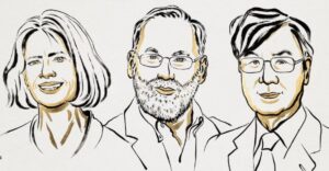 Premio Nobel de Medicina 2025: un hallazgo clave contra el cáncer y enfermedades autoinmunes