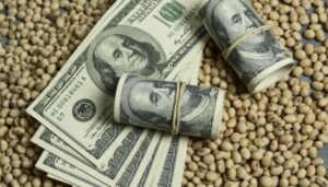 Exportadores alertan al FMI: se desploma la liquidación de dólares hasta fin de año
