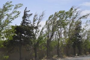 Se espera un fin de semana con variaciones térmicas y vientos cambiantes en la provincia