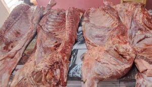 Allanamientos en Villa Mercedes por faena ilegal de ganado