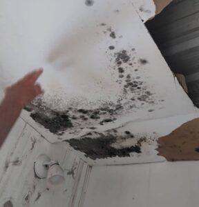 Relaciones Laborales y ATE constataron graves irregularidades en el Corralón Municipal de La Punta