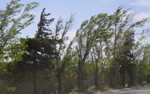 Emiten alerta meteorológica por vientos fuertes en la provincia de San Luis