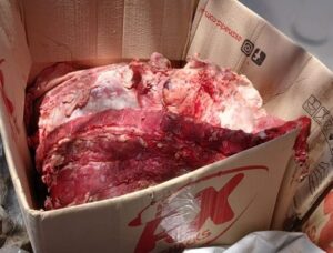 Villa Mercedes: allanamiento policial por abigeato permitió el secuestro de carne vacuna