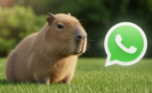 WhatsApp modo capibara en enero 2026: cómo se activa