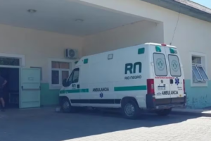 Murieron una mujer y su hija tras esquivar un jabalí en la ruta