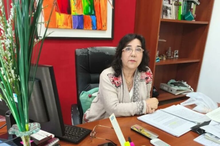 Postiguillo impulsa el juicio político contra la jueza Nora Villegas