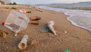 Los plásticos dominan la basura marina en las playas bonaerenses: el 78% de los residuos registrados 