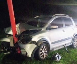 Un perro cayó de una camioneta y provocó un violento choque en la ruta 9