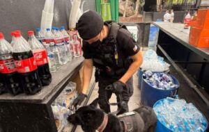 Secuestran drogas en fiesta electrónica en Córdoba