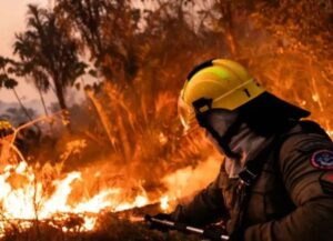 Incendios en Chubut: investigan tres focos intencionales