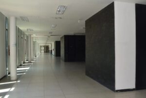 San Luis: formularon cargos contra un hombre acusado de abigeato 