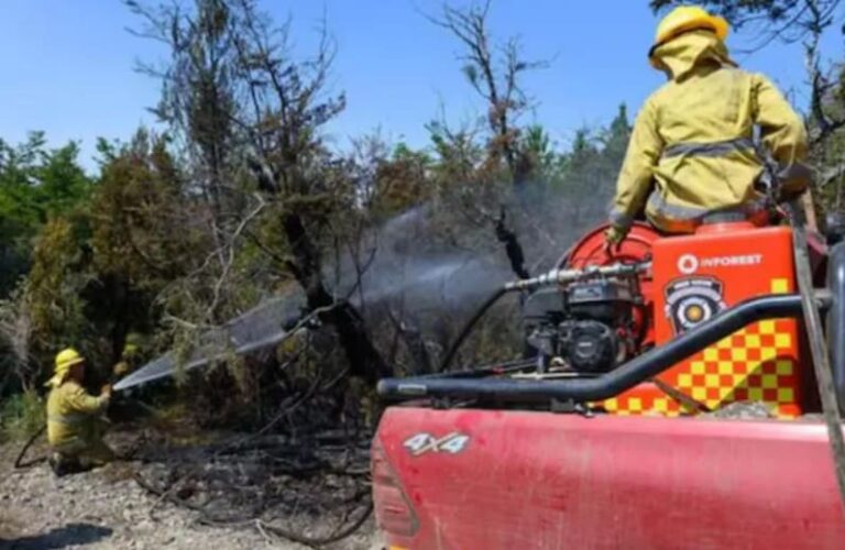 Alivio en Chubut: controlaron los incendios en el Parque Nacional Los Alerces y Puerto Patriada