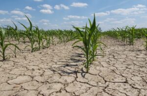 Vuelve el fenómeno El Niño y amenaza con sequías e inundaciones en distintas regiones del mundo