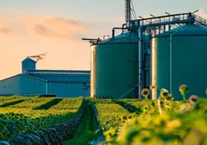 Paro de Aceiteros contra la reforma laboral: el gremio con básicos de $2,3 millones va a la huelga