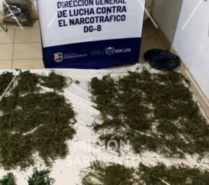 Villa de Merlo: incautan droga valuada en más de 16 millones de pesos y detienen a dos mujeres