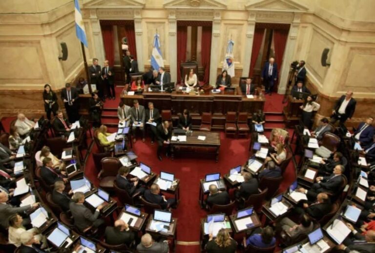 El Senado aprobó el Régimen Penal Juvenil que baja la edad de imputabilidad a 14 años