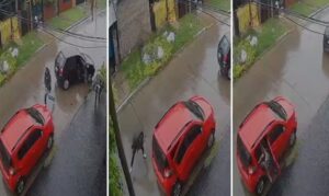 Brutal tiroteo en La Matanza: un chofer de aplicación se enfrentó a ladrones que intentaron robarle el auto