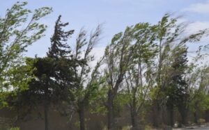 San Luis bajo alerta meteorológica por fuertes vientos