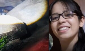 Femicidio en Salta: detienen a prófugo en una cueva