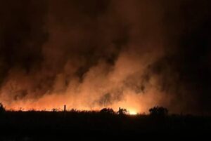 Incendio forestal en Mar del Plata: más de 200 hectáreas afectadas