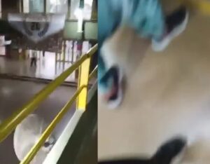 Ataque escolar en Santa Fe: el agresor estaba en tratamiento