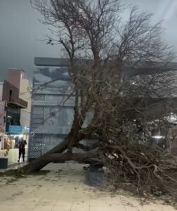 Fuertes ráfagas de viento causaron destrozos en San Luis y voltearon otra vez el cóndor de Potrero