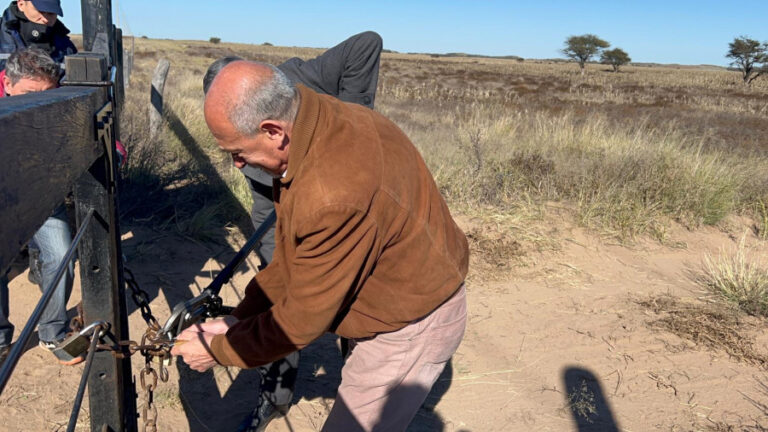 «Presentó pruebas falsas e intentó entorpecer la causa»: piden prisión para el secretario de Ética de Poggi