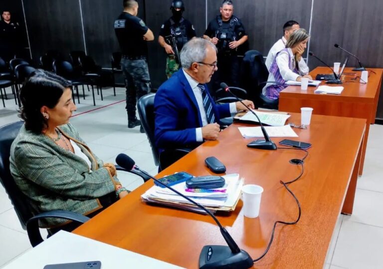 Villa Mercedes: condenan a prisión perpetua a un hombre por el homicidio de su madre