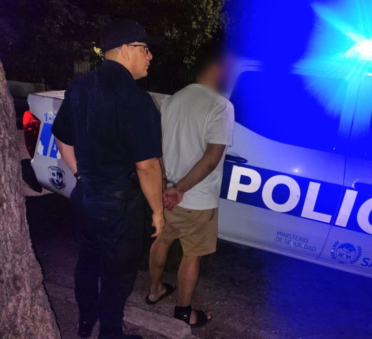 Detuvieron a un hombre por agredir a su expareja y causar daños en su casa