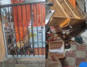 VIDEO | Robaron y destrozaron una fiambrería: “Te sacan las ganas de trabajar”