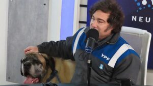 «Confié y me jodí»: la empresaria que hizo los mamelucos de Milei ahora trabaja como Uber