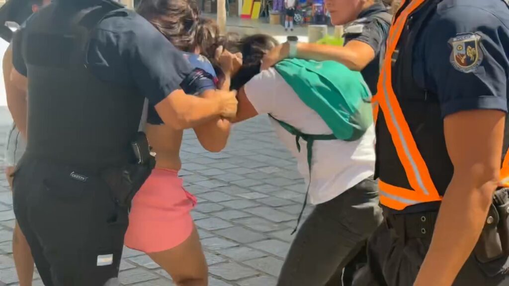 VIDEO | Mientras bomberos combatían un incendio, dos mujeres se pelearon a golpes en el Paseo del Padre