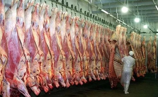 Fuerte crisis en frigorífico pampeano ligado a Paty