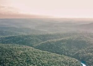Arcor protege 28 mil hectáreas de bosques en Argentina