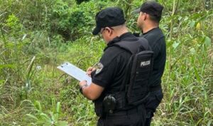 Macabro hallazgo en Misiones: restos óseos junto a la Ruta 12