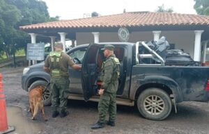 Secuestran más de 10 kilos de marihuana en Formosa