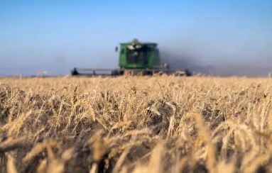 Caída de la confianza agropecuaria golpea al Gobierno