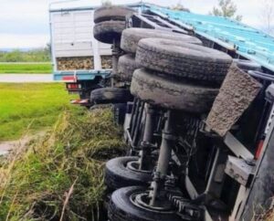 Volcó un acoplado cargado con maíz en cercanías de la autopista 55: no se registraron heridos