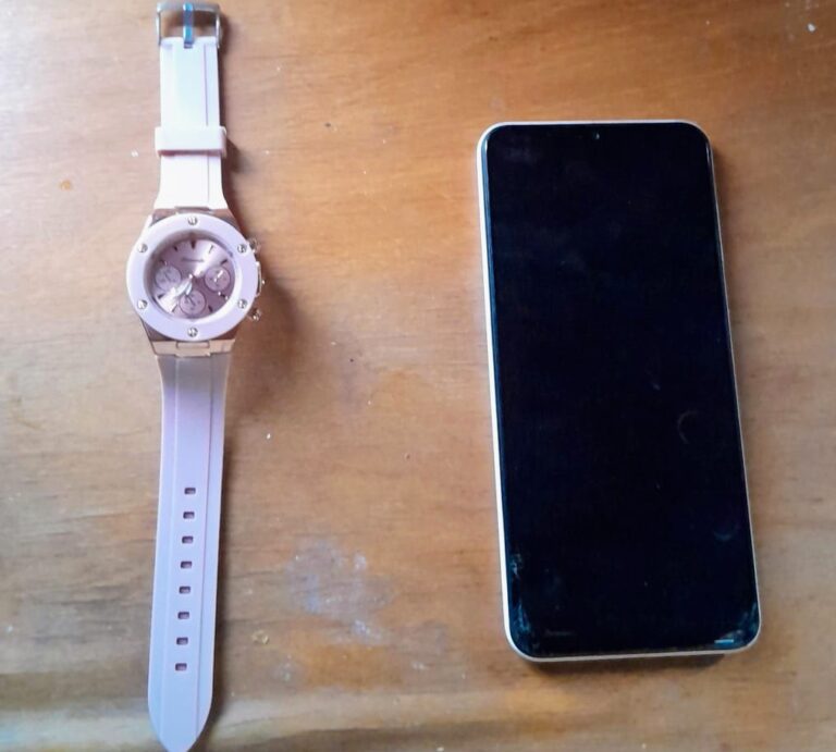 Allanaron dos viviendas por el robo de relojes que se viralizó en redes sociales