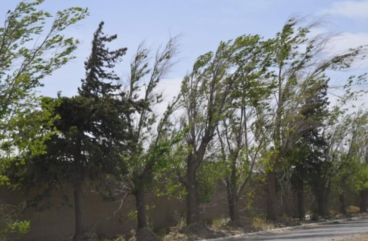 Fin de semana con descenso de temperaturas y viento del sector sur en San Luis 