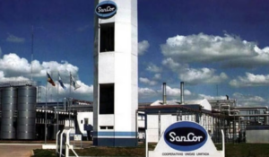 SanCor: seis empresas buscan quedarse con la láctea