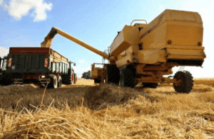 Baja de retenciones: estiman que mejorará la rentabilidad agrícola y ayudará a sostener exportaciones