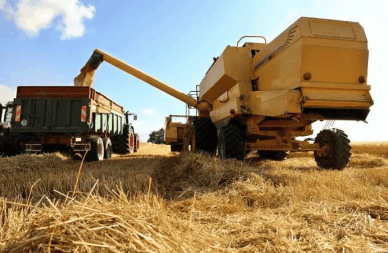 Baja de retenciones: estiman que mejorará la rentabilidad agrícola y ayudará a sostener exportaciones
