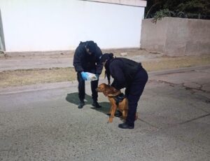 Detuvieron a una pareja que habría secuestrado a una bebé de 9 meses