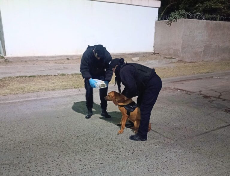 Detuvieron a una pareja que habría secuestrado a una bebé de 9 meses