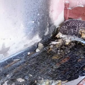 Se incendió una casa en el barrio San Luis XV y los vecinos evitaron el desastre